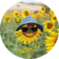 siralama
